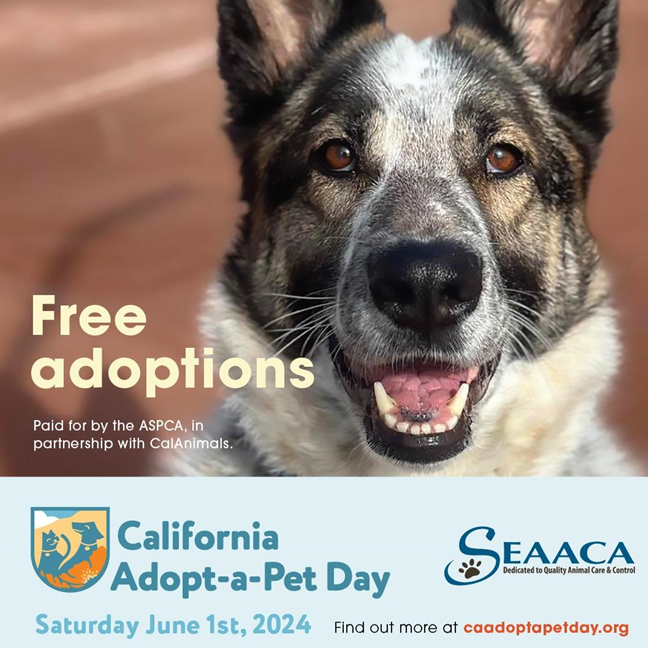 california adopt a pet day june 1 2024